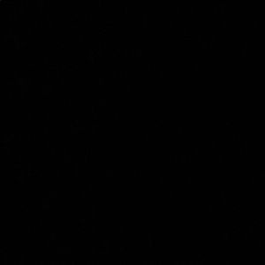 Meet your Posher, Darnelle